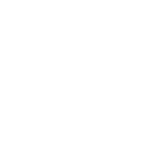 Bihar Business Connect 2024